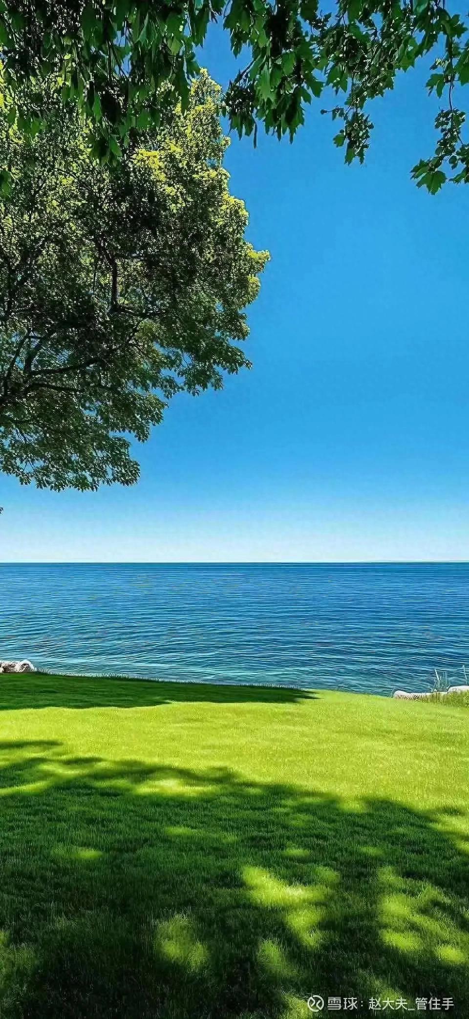 _中国的股市_ 股市分红政策转变 