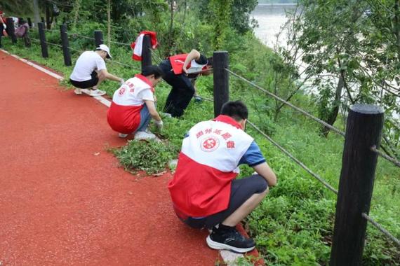 金隅股份：建筑材料领军者，绿色发展践行者与公益担当者