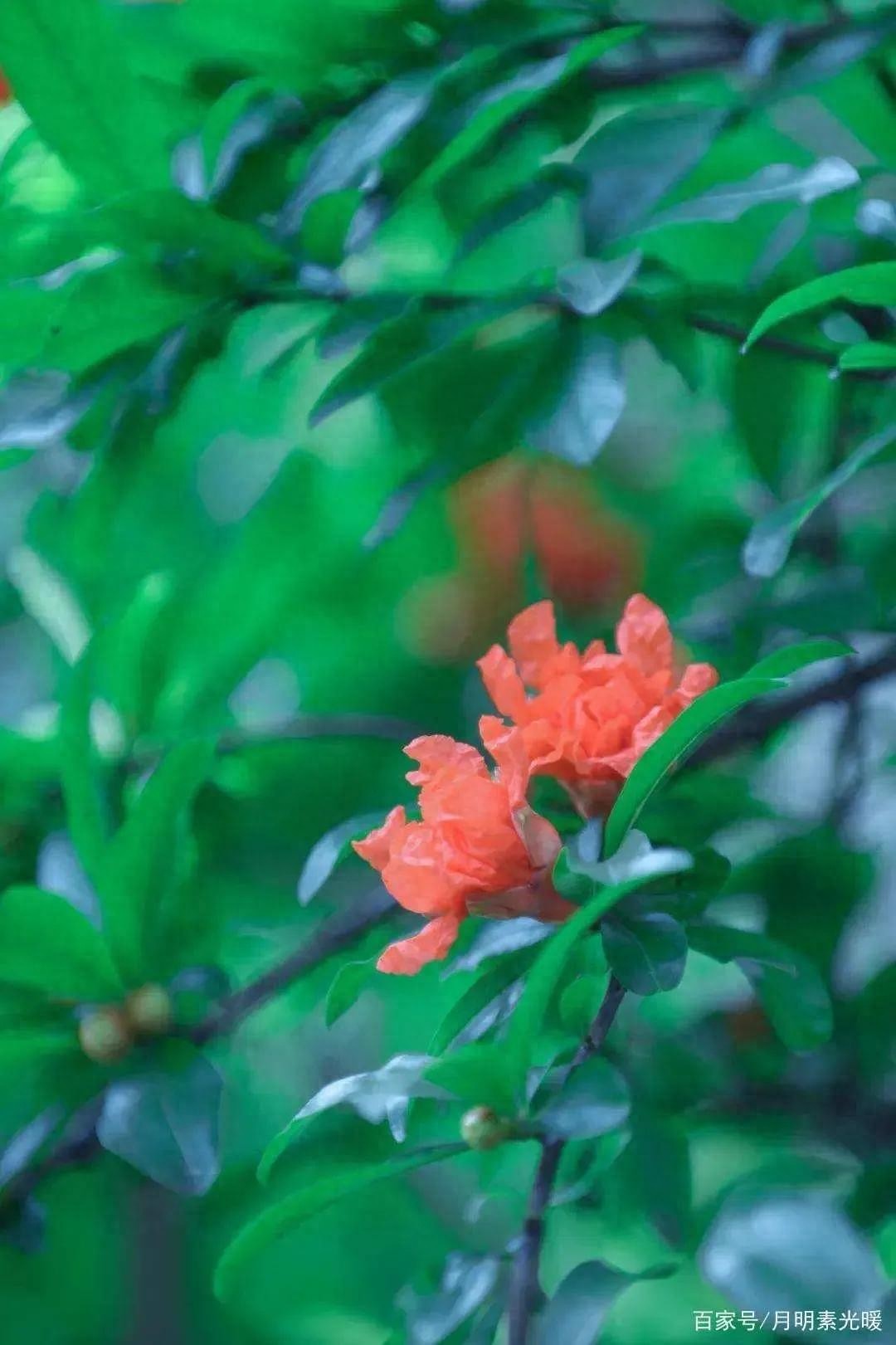 巨额资产用户必看！外汇资产配置门道多，美元投资咋操作？