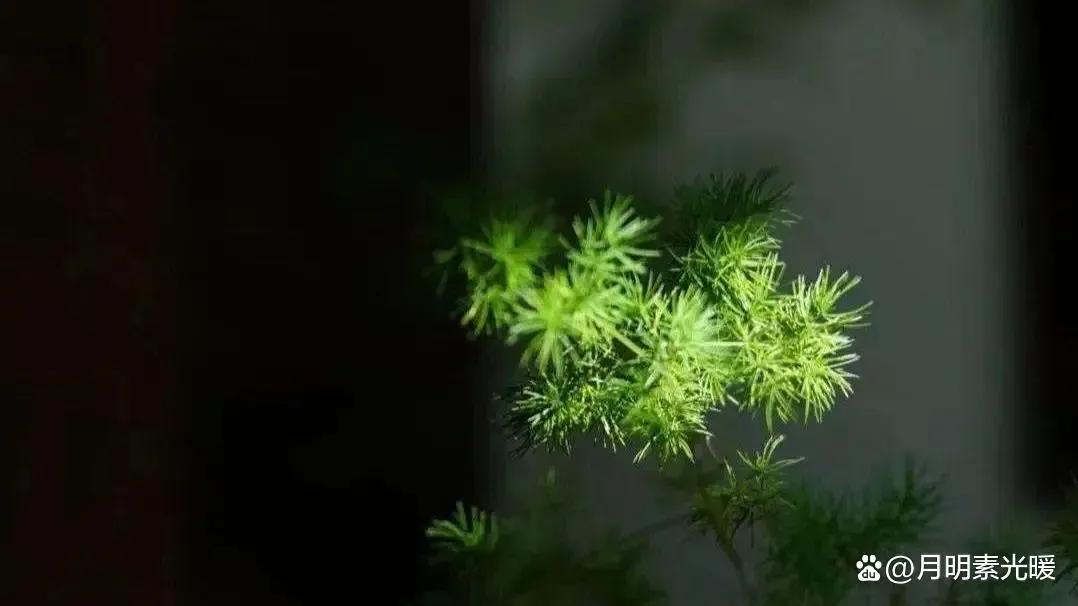 理财 外汇_海外债券投资_美元投资理财