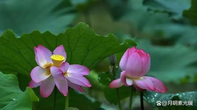 美元投资理财_海外债券投资_理财 外汇