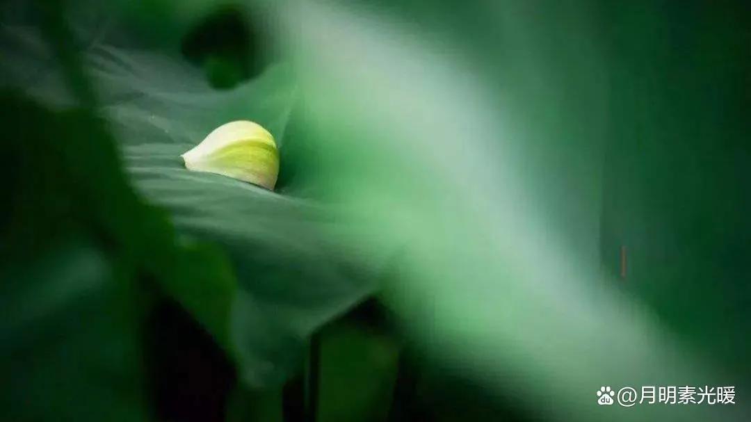 理财 外汇_美元投资理财_海外债券投资