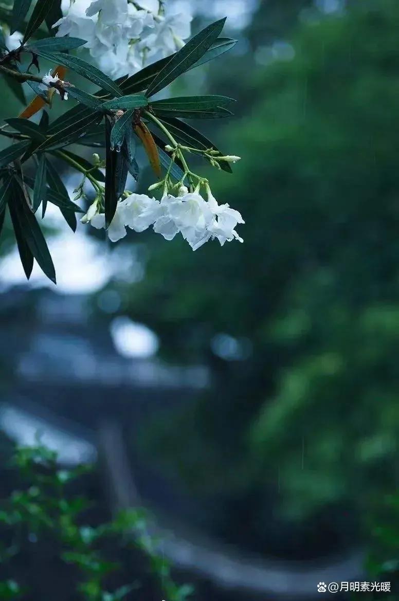 海外债券投资_理财 外汇_美元投资理财