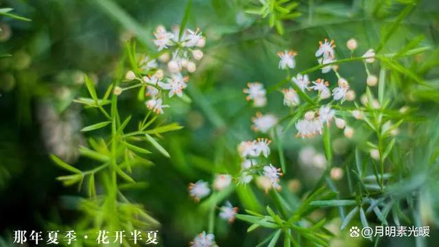 海外债券投资_美元投资理财_理财 外汇