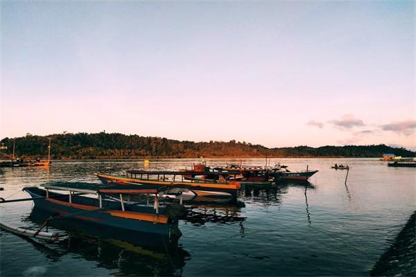 理财型保险到底好不好