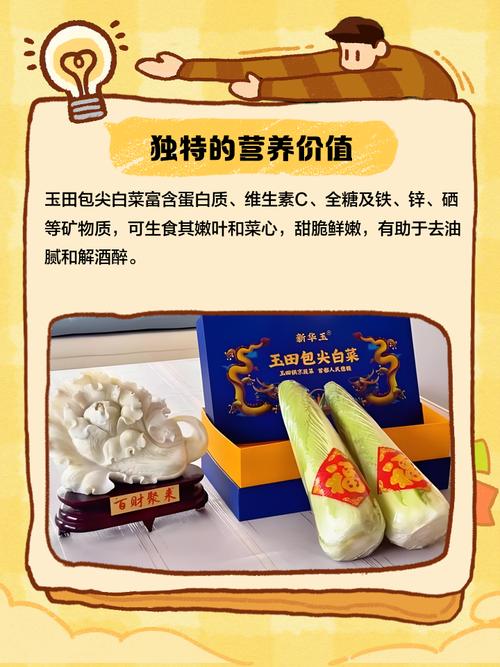 广西生态农业发展_有机肥价格行情_大白菜管理技术