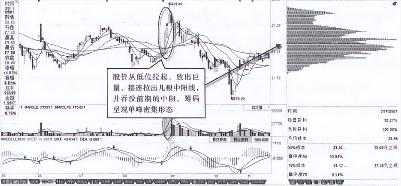 筹码分布技术分析_股票机构出货在哪里可以看到_庄家与散户信息不对称