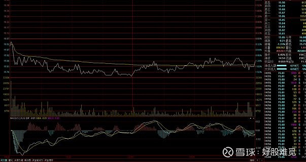 新手股民股市入门_股票投资基础知识_炒股论坛哪家强