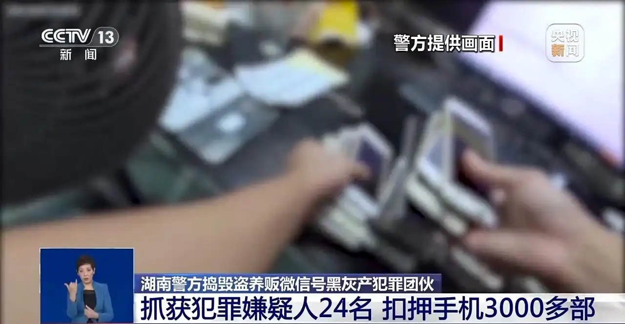牵出黑灰产团伙！湖南湘潭警方端掉盗养贩微信号团伙