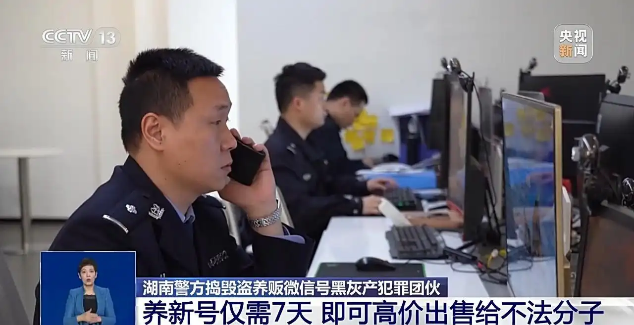 长期收购微信号秒结账的__ 湘潭警方端掉黑灰产团伙 