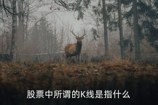 股票中所谓的K线是指什么