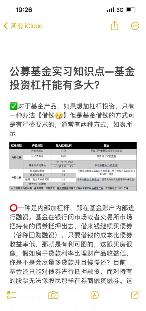 杠杆资金是什么意思_杠杆基金投资攻略_杠杆债基投资技巧