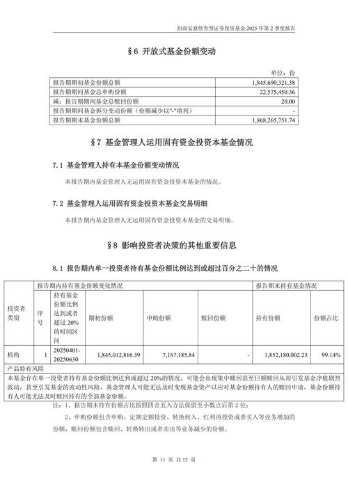 基金报告期末投资明细：股票、债券、证券等均未持有？