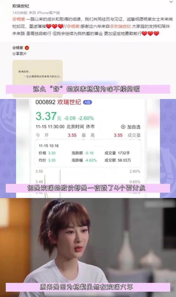 欢瑞世纪 st星美 净利润_欢瑞世纪股价暴跌_欢瑞世纪财务造假事件