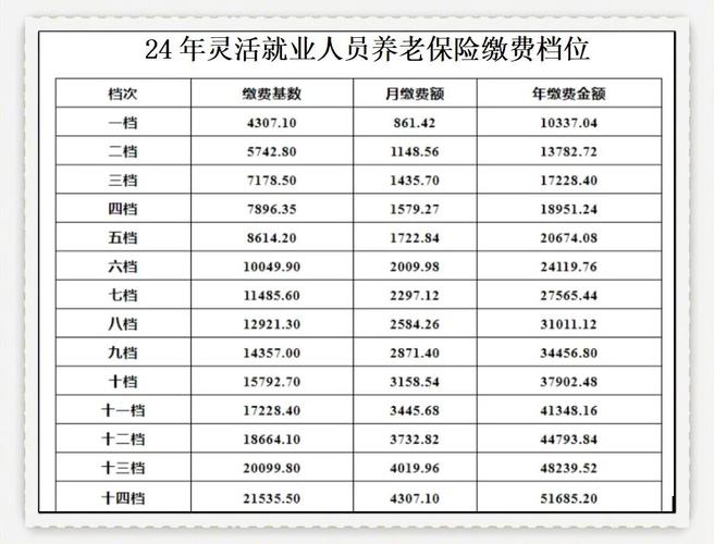 南开灵活就业社保缴费基数比例_2025年天津市养老保险缴纳基数是多少_南开灵活就业社保缴费方式