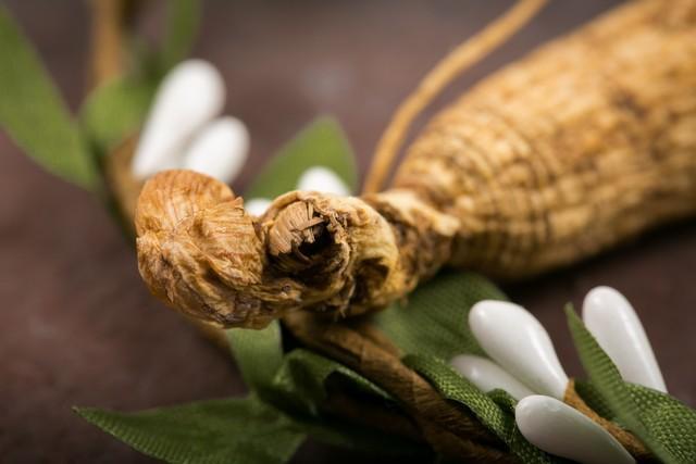 林下参经济价值高_什么种植赚钱_林下参种植特点