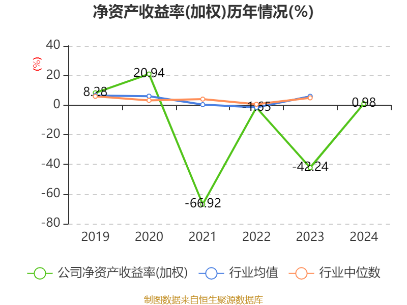 安凯客车财务数据分析_安凯客车之散户大家庭_安凯客车2024年年度报告