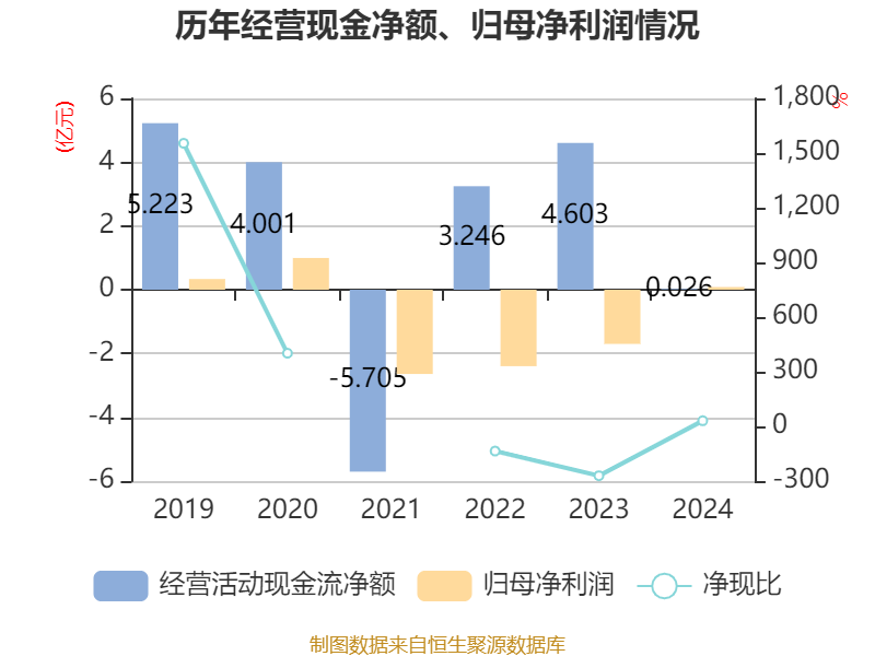 安凯客车2024年年度报告_安凯客车之散户大家庭_安凯客车财务数据分析