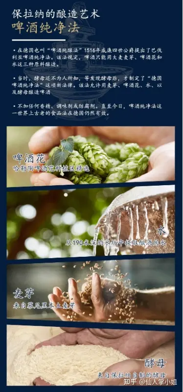 啤酒花素材_啤酒香气口感味道_啤酒品牌推荐