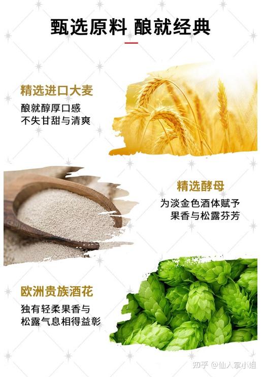 啤酒花素材_啤酒香气口感味道_啤酒品牌推荐