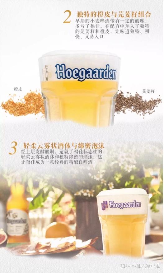 啤酒品牌推荐_啤酒香气口感味道_啤酒花素材