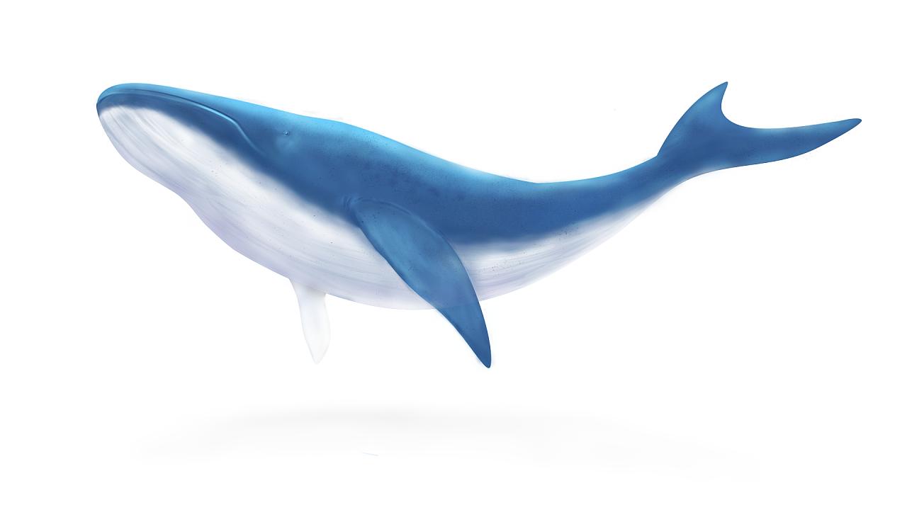 君子爱财取之有道 故事_周秀才弃不义财中进士 故事_君子爱财——取之有道