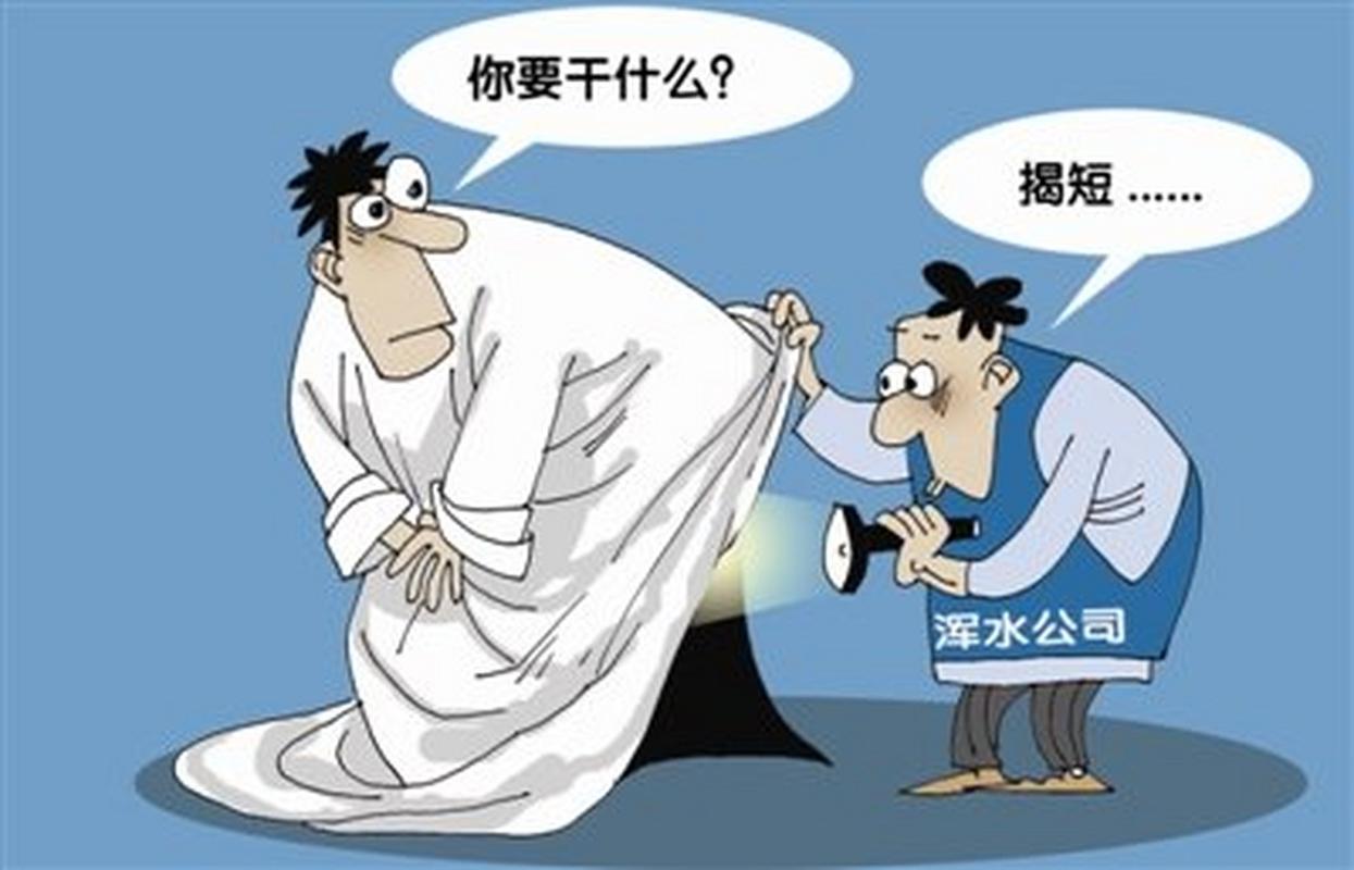 中国浑水公司_做空中国概念股财务造假特征_香橼公司浑水公司做空报告分析