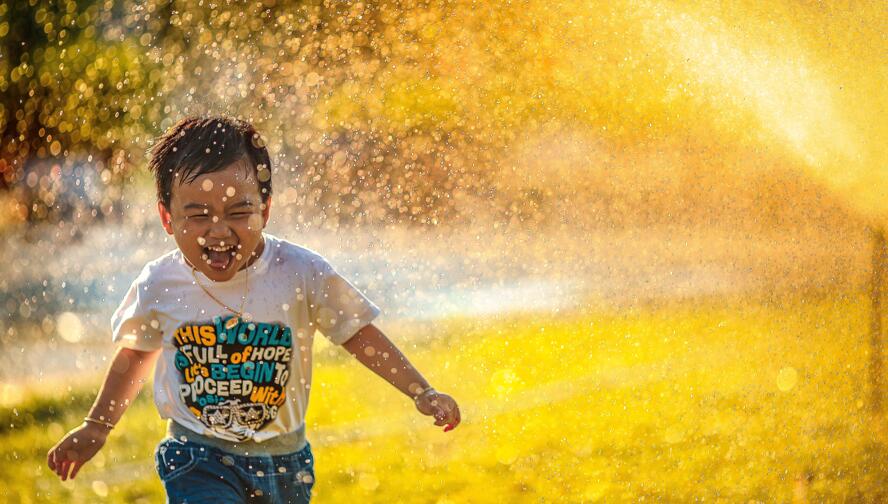 保险理财的两大功能是什么？家庭又该如何进行保险理财？