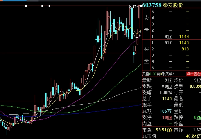 秦安股份期货投资收益_炒期货一年赚6亿_秦安股份扭亏为盈原因