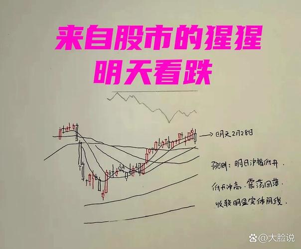 大盘回调暗藏玄机？机会与风险究竟谁主沉浮