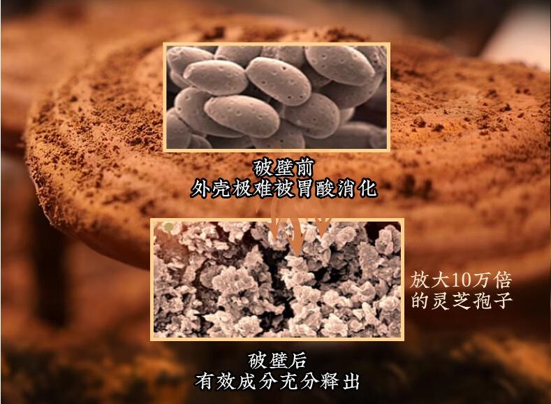 吉林敖东的灵芝孢子粉哪里有卖_灵芝破壁孢子粉哪个牌子好_十大高品质灵芝孢子粉品牌推荐