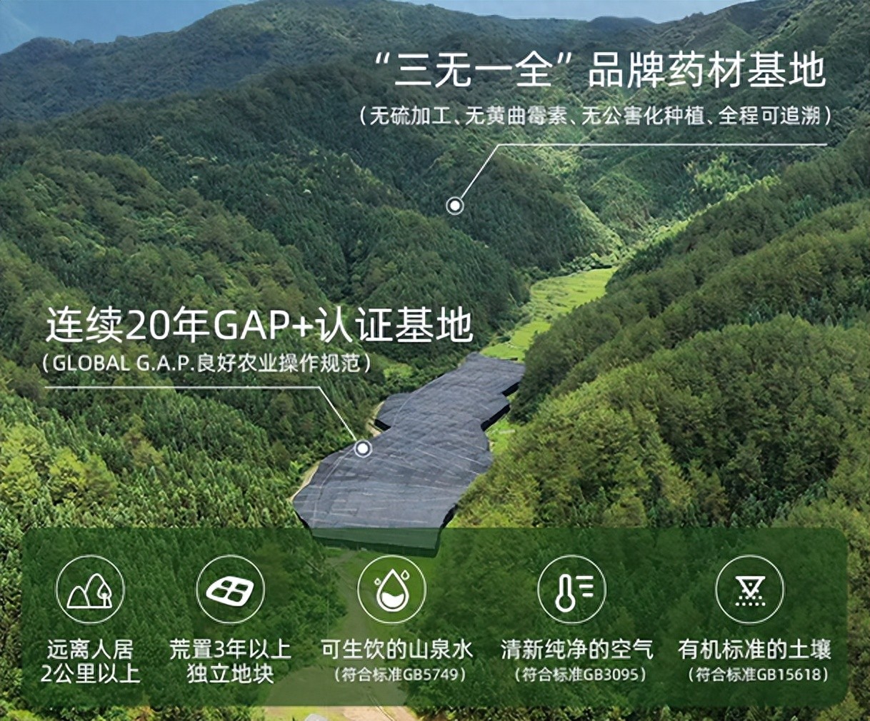 健康养生理念下灵芝孢子粉成首选，2025年品牌推荐排行榜揭晓