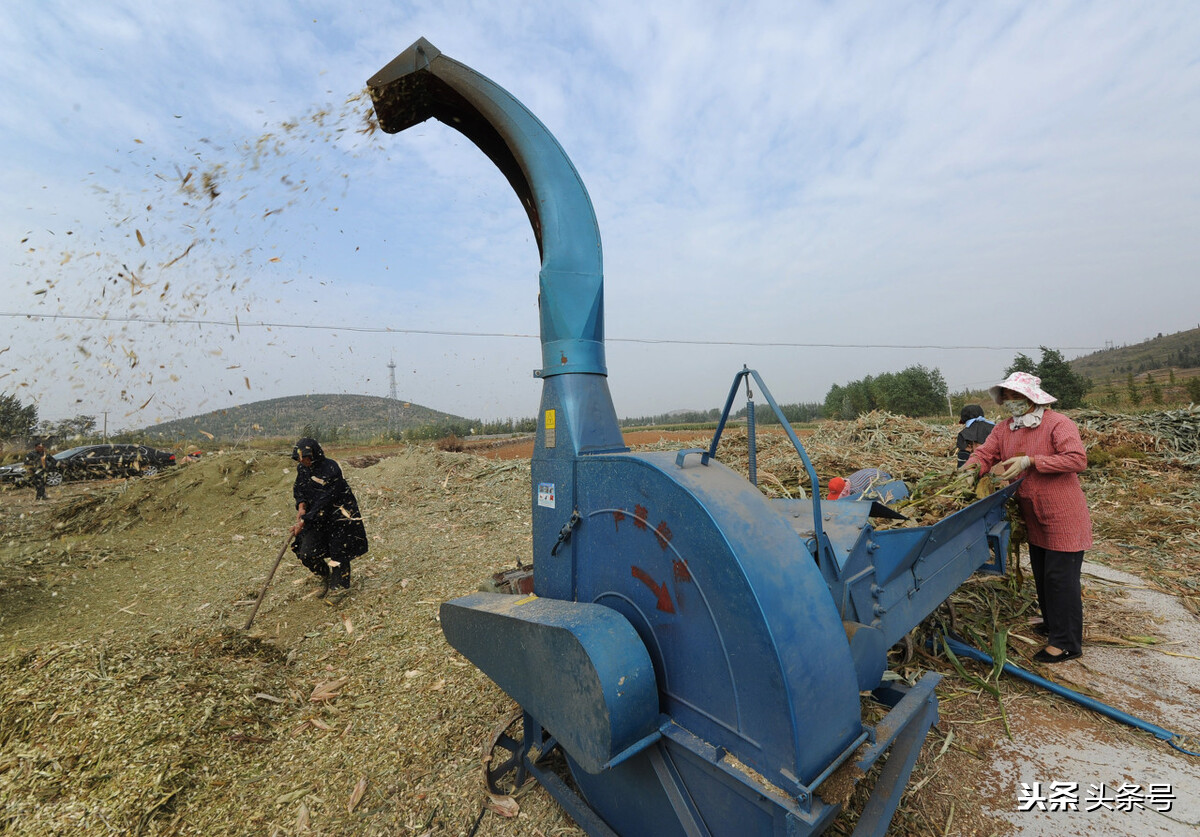 农村冬天赚钱方式_卖煤安装暖气_干什么赚钱?