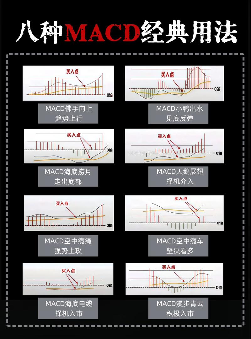 股指期货入门必知：从基础知识到实战应用，助你快速精通