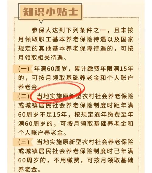 社保补缴流程指南_退役军人优待证补办_退伍军人养老保险能取出来吗