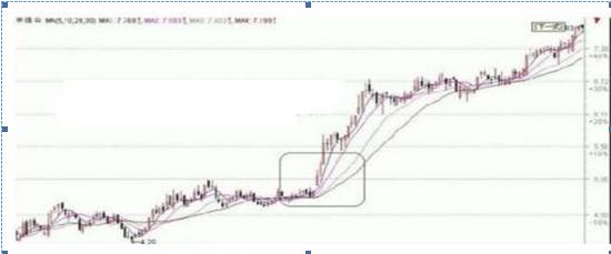 精准筛选A股牛股_中长线投资者牛股标准_涨停选股法