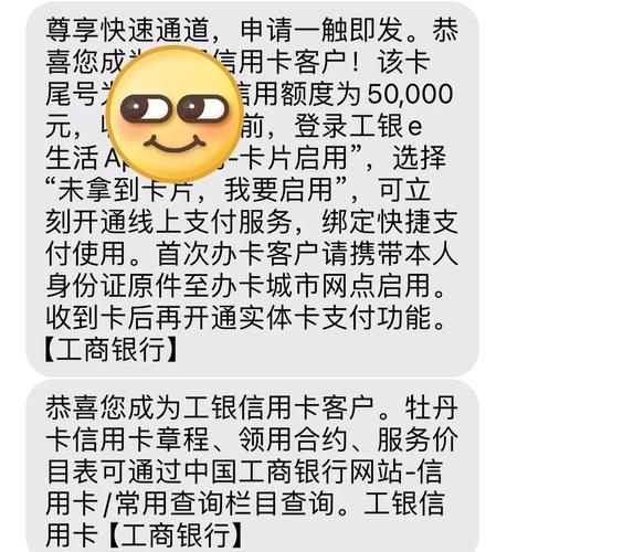 持卡人信用额度解释_交行信用卡临时额度提高_信用卡专业术语