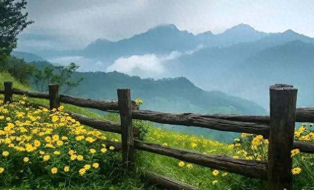 老人养老存款要多少才够？重疾险和护理险早买能省多少钱？