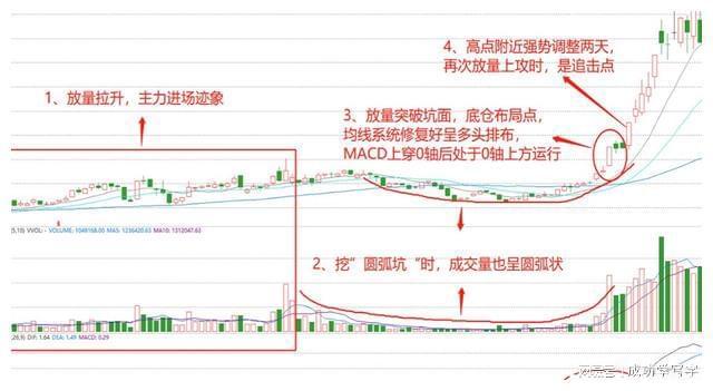 抄底技巧_四线开花选股_双底形态