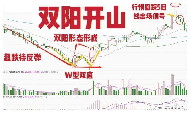 抄底技巧_四线开花选股_双底形态