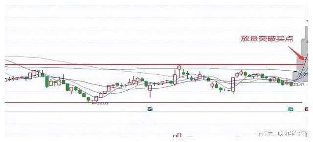 抄底技巧_四线开花选股_双底形态