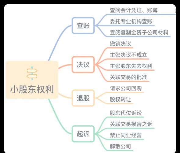 小股民也是上市公司股东，享有哪些权利？如何行使？
