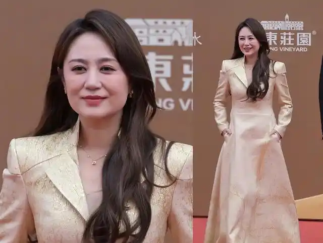 华谊兄弟20周年红毯秀_华表奖红毯造型分析_男演员红毯表现评价