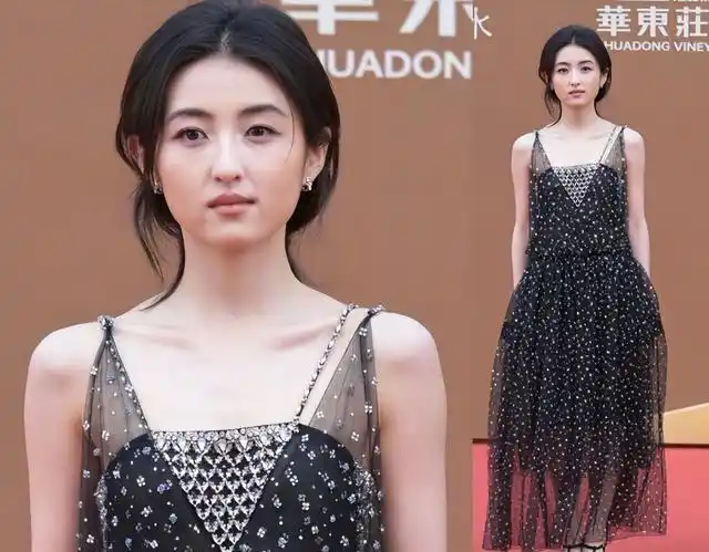 华谊兄弟20周年红毯秀_男演员红毯表现评价_华表奖红毯造型分析