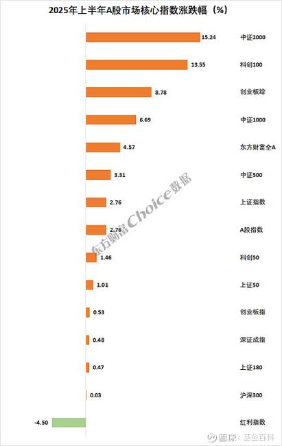 2025年A股定增情况：项目数、募资额及大户公司全解析