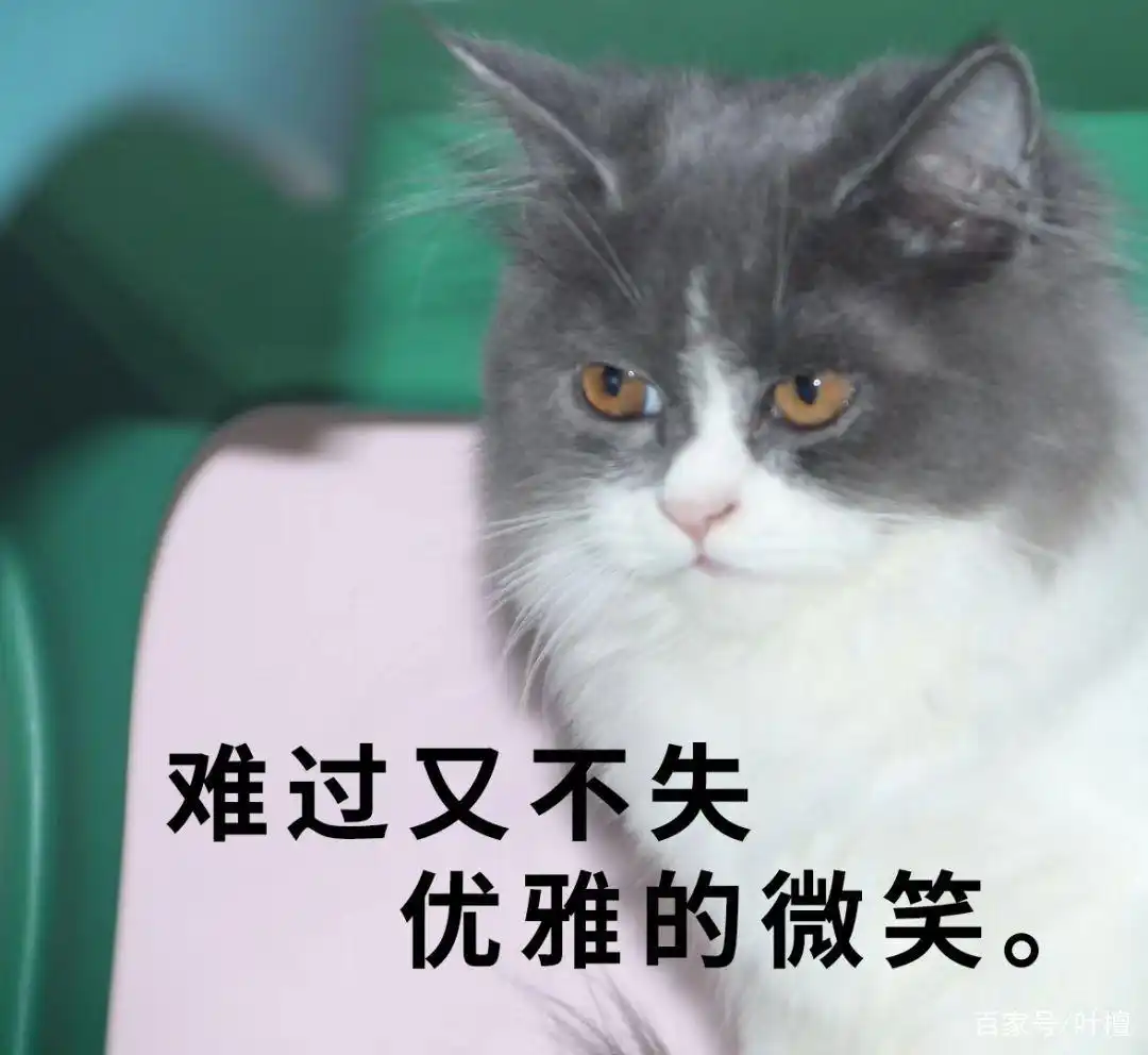 盐湖股份估值_盐湖钾肥破产重组债权人亏惨了不同意方案_盐湖股份连续两年净利润为负值变成ST盐湖