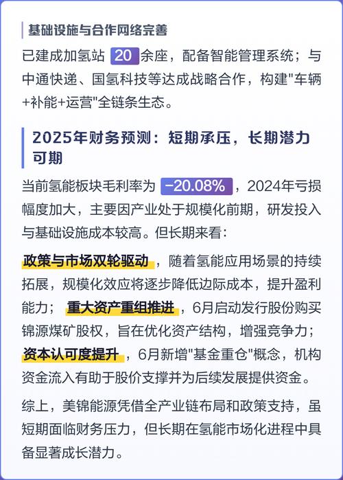 氢能产业发展趋势_清洁能源产业论坛_美锦能源 重组