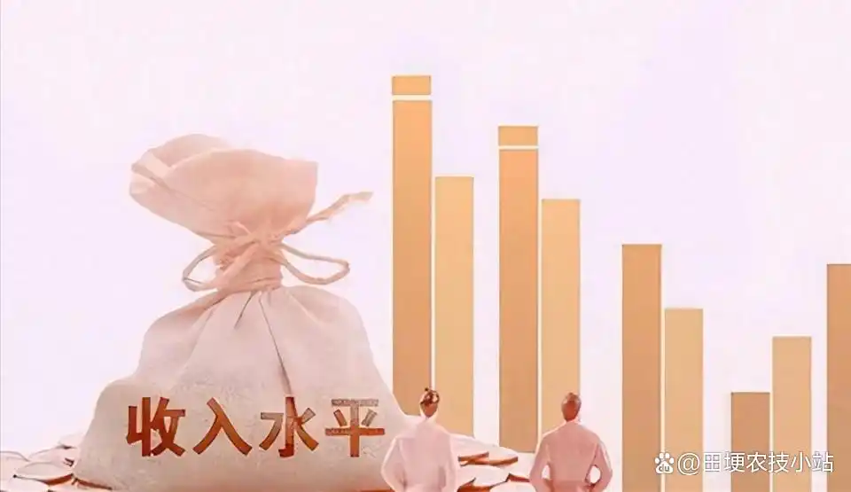 退休中人养老金咋算？视同、实际、平均缴费指数全解析